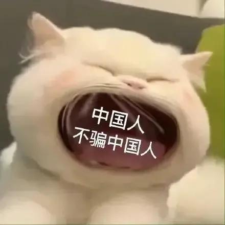 大嘴猫猫表情包