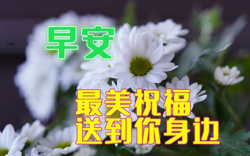 5月17日最漂亮早上好动态表情图片大全,早晨好动图美图大全