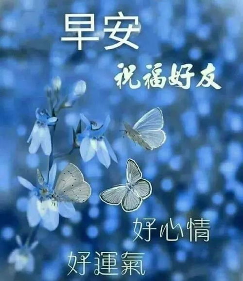 最新版早安表情图片免打字朋友圈最美早上好祝福语简短