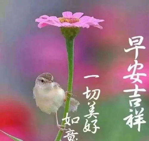 人生的简单,无非就是,走好自己的路,做好自己的事,早安
