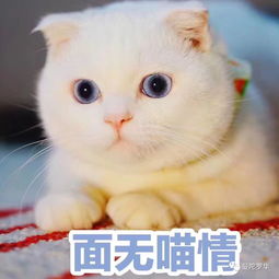 mt周运3.12﹣3.18你还没睡醒吗