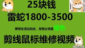 垃圾佬剪线废物改造自制熊本熊键盘