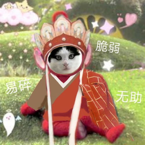 关于iphone品控