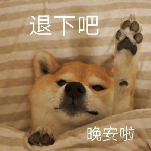 如何做抵御冷风的小机灵,点进来你就知道了