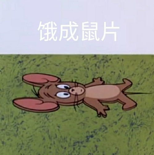 热门表情包微信里常用图片