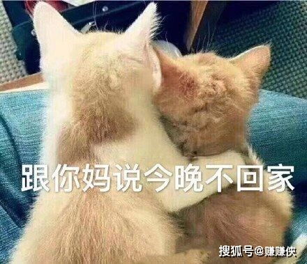 撩骚表情包图片跟你妈妈说,今晚你不回家了