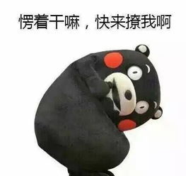 天呐大boss级寒潮驾到厦门最低温将跌破10