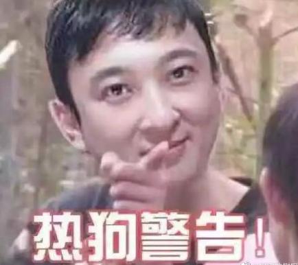 的表情包可爱王思聪
