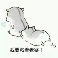 斗图纯文字污表情包微信头像图片大全