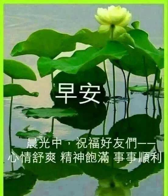日常问候表情图片早安