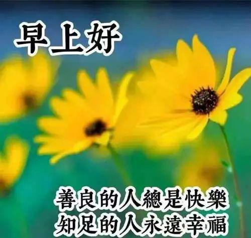 今日最新早上好表情包图片大全,愿你事事顺心,快乐相随