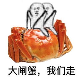 海参我们走系列表情包