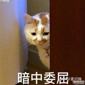 我的mba备考