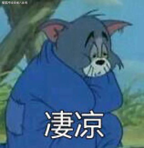 周扬青照骗任嘉伦演腐剧papi酱营销锤欢乐颂换人