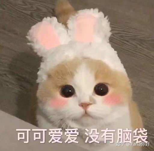 给女生订披萨大概几寸合适