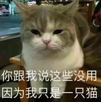 我假装是广漂,在一条不知名的城中村里流窜,结果发现