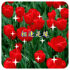 2021处暑节气清晨早上好问候动态表情图片大全精选最新早安问候祝福语简短