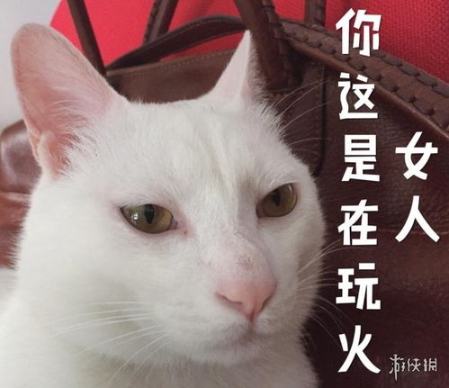 你这是在玩火是什么意思你这是在玩火表情包