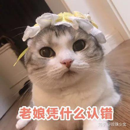 如果男生主动更换了你们的情侣头像还不和你说这是想分手了对吧