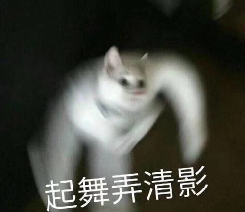 宝贝起床了表情包动图利奇马