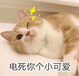 撩男朋友撒娇卖萌表情包2019超萌哄男朋友的表情包