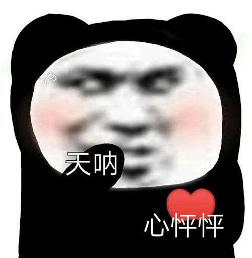 搜狐网
