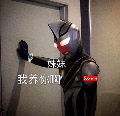 有哪些可爱的沙雕句子