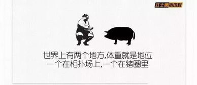 搞笑旅游文案山东旅游文案