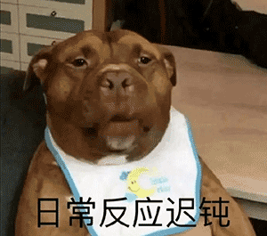 沙雕表情包丨整天情情爱爱,不知羞耻