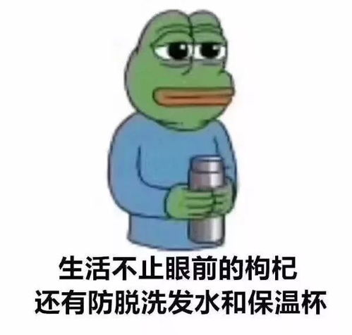 福建气温暴跌78个早台风或登陆影响我省