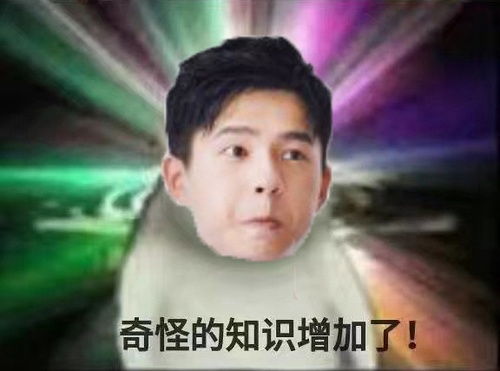 我的收藏