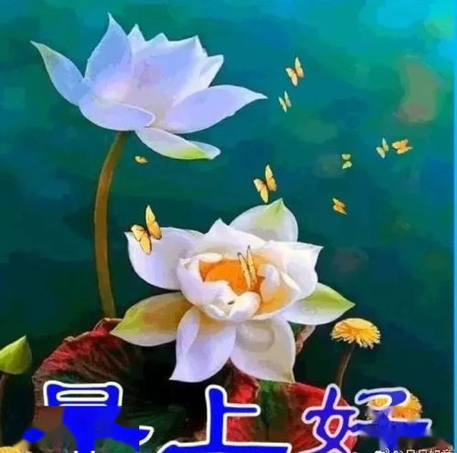 人生最大的成功,就是培养出一个好的心态,使自己无时不快乐