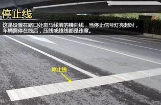 交通科普道路交通线图解大全这些知识你一定要知道