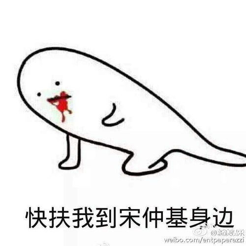 开店创业什么的真的好艰难啊