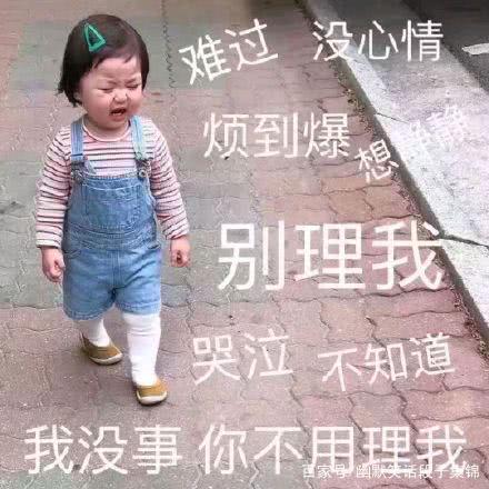 搞笑gif小妹厉害了,都看不清出拳的速度
