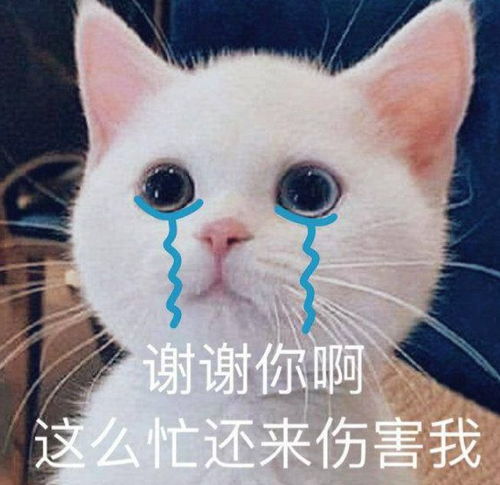 老戏骨大玩相差36岁父女恋,七套房产全部过户给女方