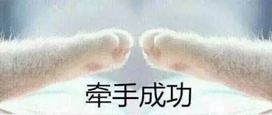 夕阳下的奔跑表情包冇眼睇