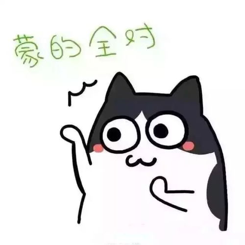 帮你战期末