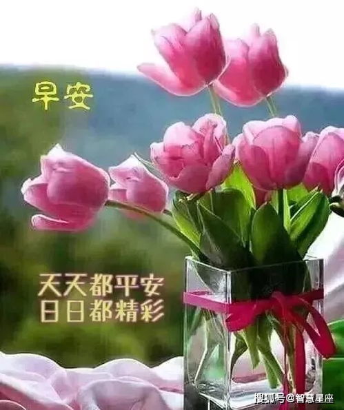 9月20日微信群发早上好祝福朋友表情动图,最美的清晨早上好问候祝福图片表情