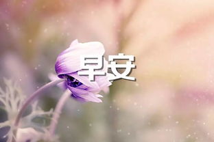 早安语录分享早安图片分享