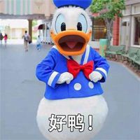 可爱萌萌哒加油鸭表情包微信头像图片大全
