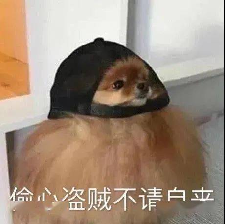 被无情的拉黑没关系,学会这个与对方强行聊天