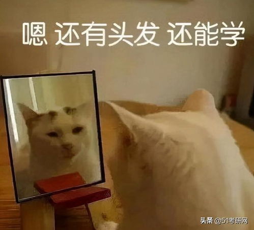 考研人数上热搜,462万不怕最后冲刺各科复习建议