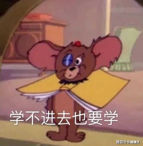 疑问表情包图片昨天不是刚起过床吗,怎么今天又要起床