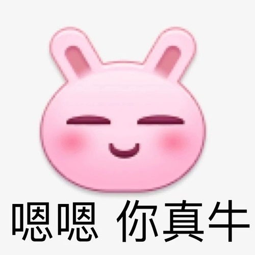 资质平平且不认真努力的他都能进八组,聪明伶俐品学兼优的我却不能