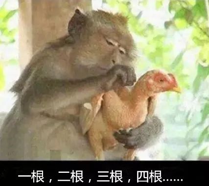 虎骨入药算什么,你知道我们老祖宗都吃过啥