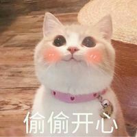 适合发给对象的表情包