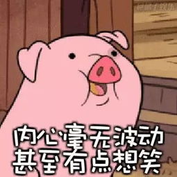 2019年猪都喊你生孩子了,三胎你准备好了吗