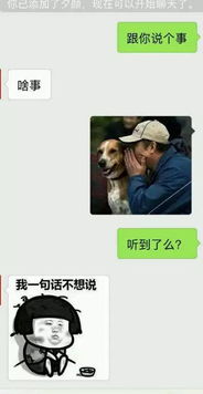 大神撩妹套路聊天记录泄漏,终于学到一手附上表情包
