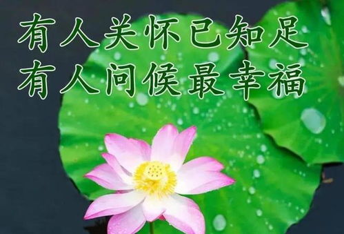 12月4日清晨早上好动态表情图片大全新版微信早上好表情动态图片